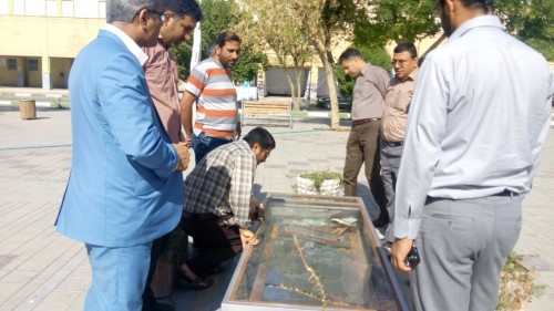 شاگردان سید کاظم نعمت زاده